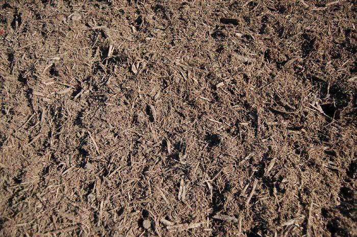 Organic Bark Mulch